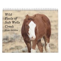 Wild Foals of Salt Wells Creek