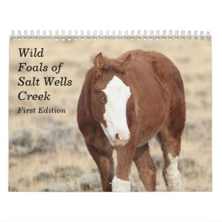 Wild Foals of Salt Wells Creek Calendar