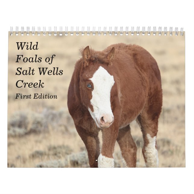 Wild Foals of Salt Wells Creek  Calendar (Cover)
