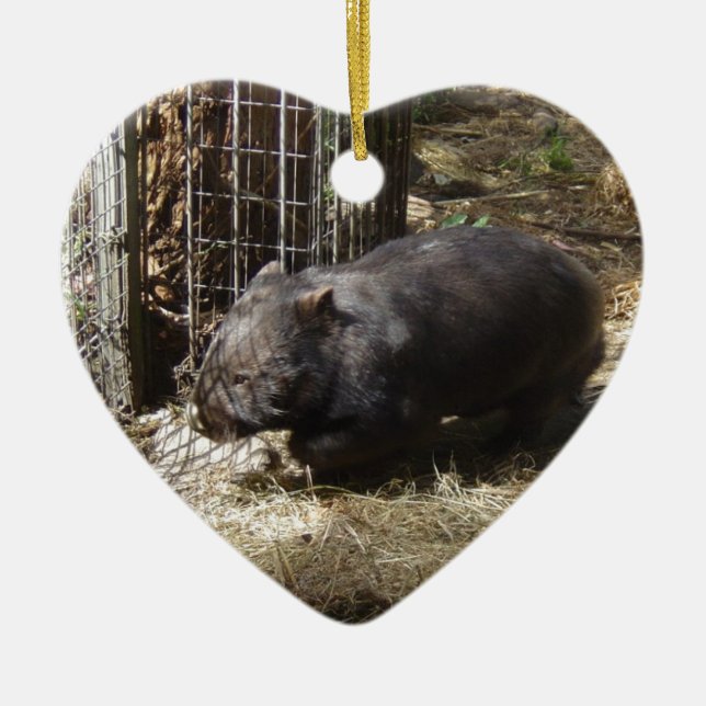 Wild For Wombats Ceramic Ornament (Front)