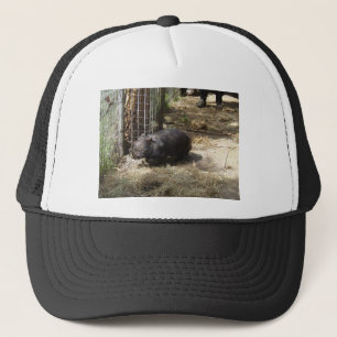Wild For Wombats Trucker Hat