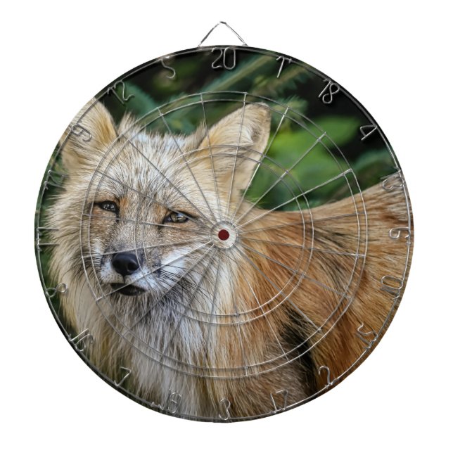 Wild Fox Dartboard (Front)