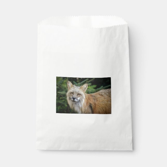Wild Fox Favour Bag (Front)