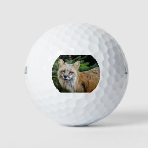 Wild Fox Golf Balls