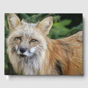 Wild Fox Guest Book