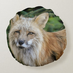 Wild Fox Round Pillow