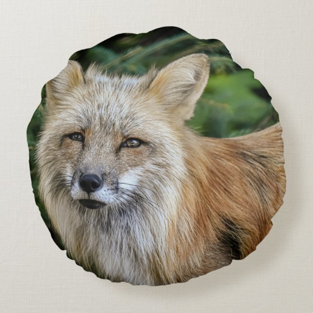 Wild Fox Round Pillow (Back)