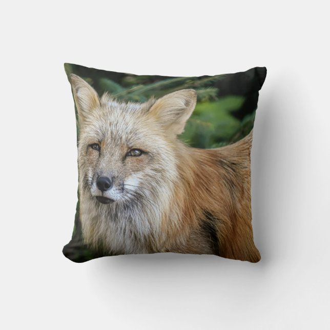 Wild Fox Throw Pillow (Front)