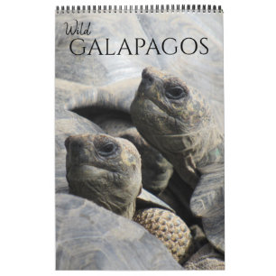 wild galapagos 2026 calendar