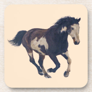 Wild Galloping Pinto American Paint Horse Coaster