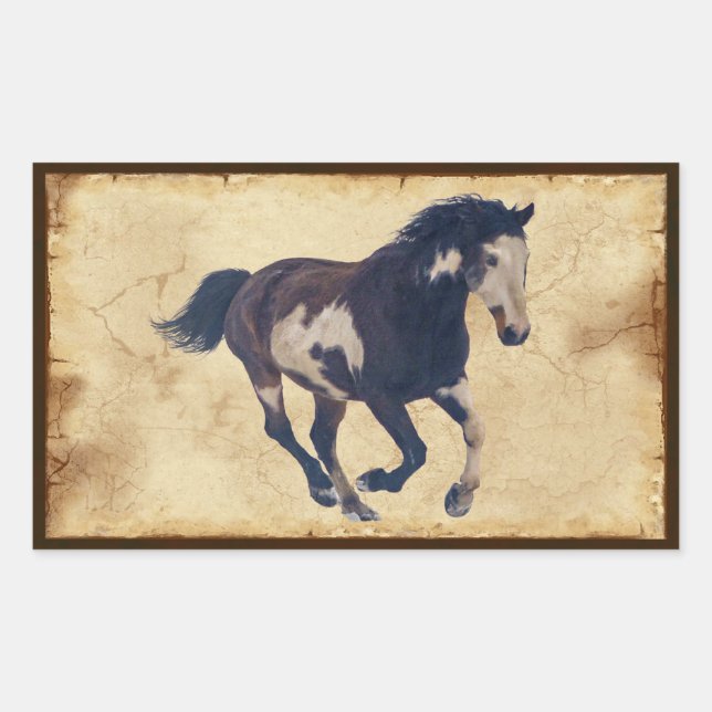 Wild Galloping Pinto American Paint Horse Sticker (Front)
