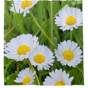Wild Garden Flowers Romania – Nature Photography