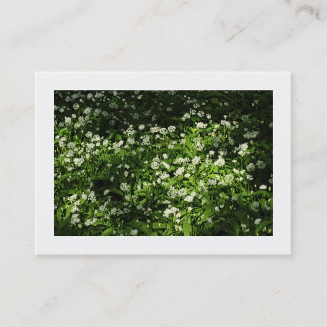 Wild Garlic (Bordered) Business Card (Front)
