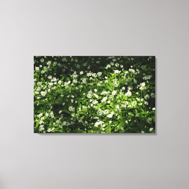 Wild Garlic Canvas Print (Front)