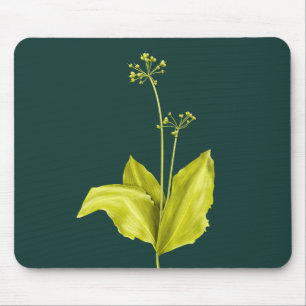 Wild Garlic Green Plant Nature Lover Botanist Mouse Pad