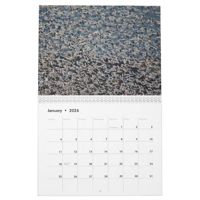 Wild Geese 2015 - Goose Calendar (Jan 2026)