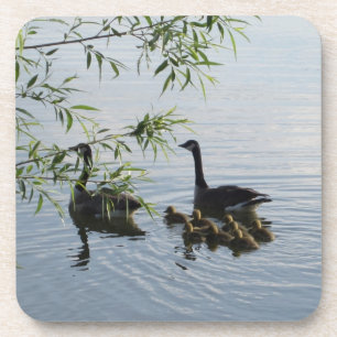 Wild Geese Coasters - Set of 6
