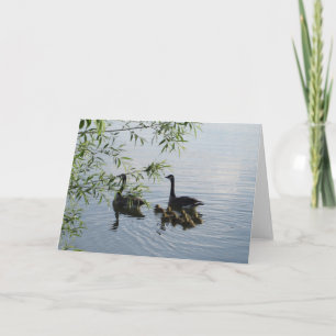 Wild Geese Greeting Card