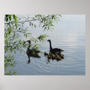 Wild Geese Print
