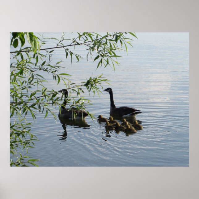 Wild Geese Print (Front)