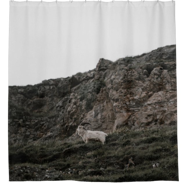 WILD GOAT (Front)