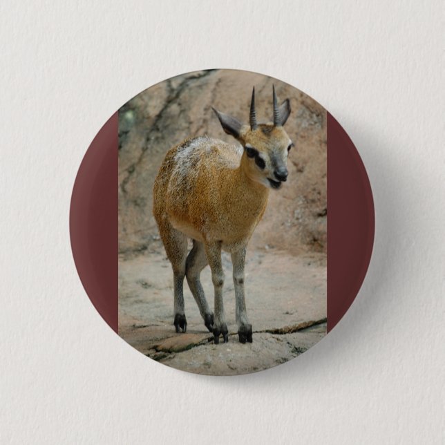 Wild Goats 2 Inch Round Button (Front)