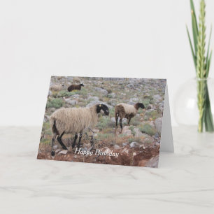 Wild Goats Birthday Greeting Card
