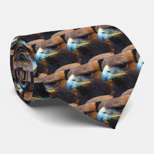 Wild Golden Eagle in Brown Tie