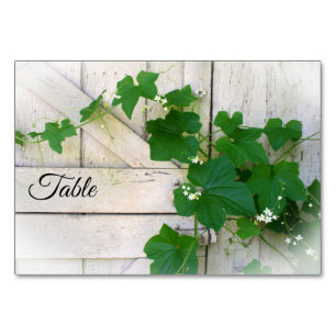 Wild grapevine table cards
