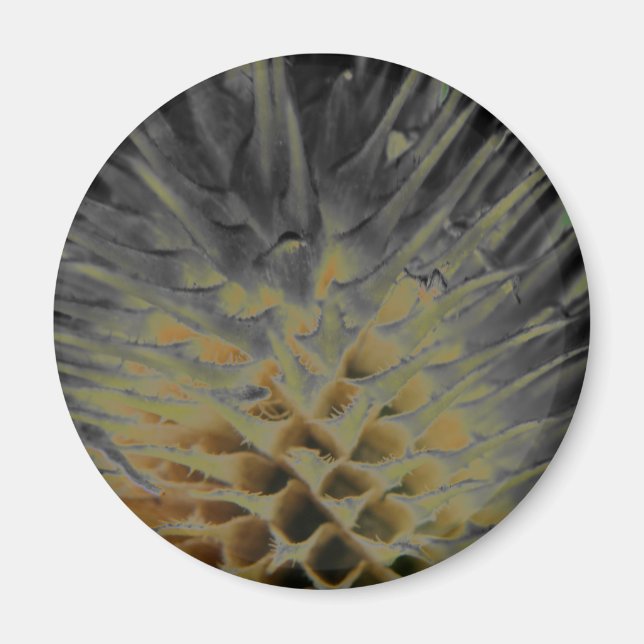 Wild Grass Supernova Magnet (Front)