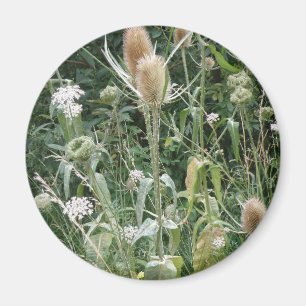 Wild Grasses Magnet