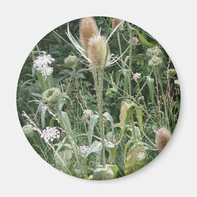 Wild Grasses Magnet (Front)