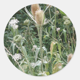 Wild Grasses Sticker