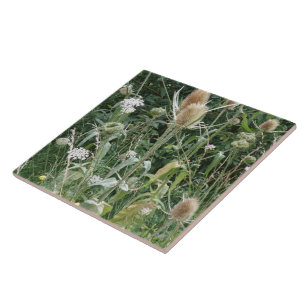 Wild Grasses Tile