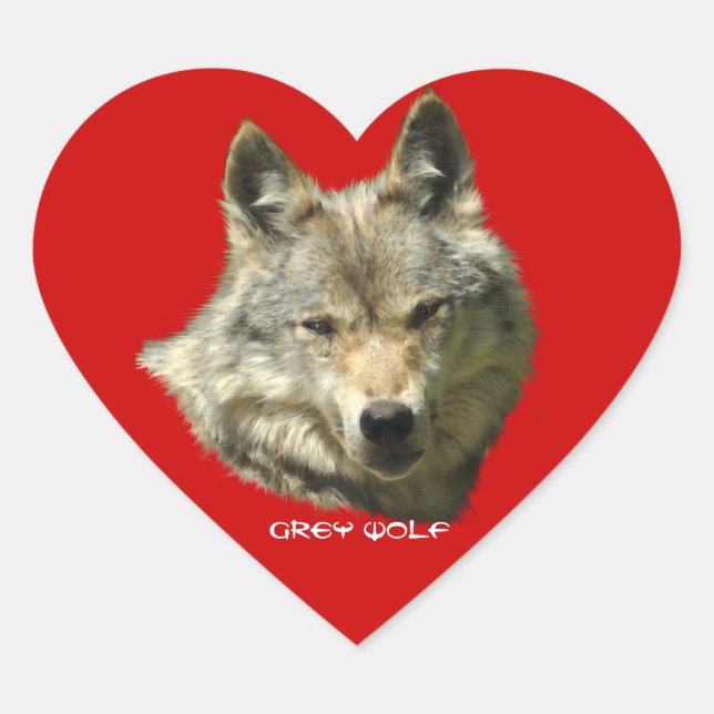 WILD GREY WOLF Wildlife Stickers (Front)