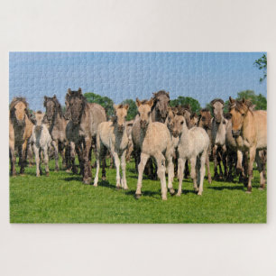 Wild Grullo Colored Dulmen Horses Cute Foals  Game Jigsaw Puzzle
