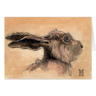 Wild Hare