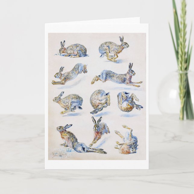 Wild Hare (Rabbit) Studies, Bruno Liljefors Card (Front)