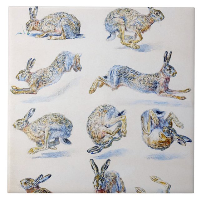 Wild Hare (Rabbit) Studies, Bruno Liljefors Tile (Front)