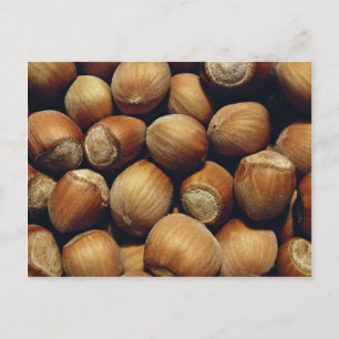 Wild hazelnut postcard
