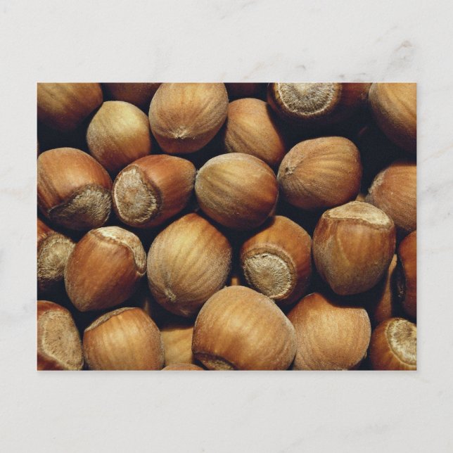 Wild hazelnut postcard (Front)