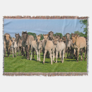 Wild Herd Grullo Coloured Dulmen Horses Foals  coz Throw Blanket