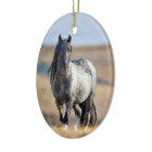Wild Hoofbeats Blue Zeus Walks Ornament