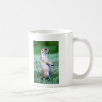 Wild Horse and Prarie Dog