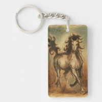 Wild Horse and Warm Colours