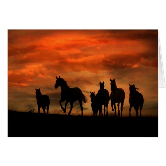 Wild Horse Birthday Card from a group