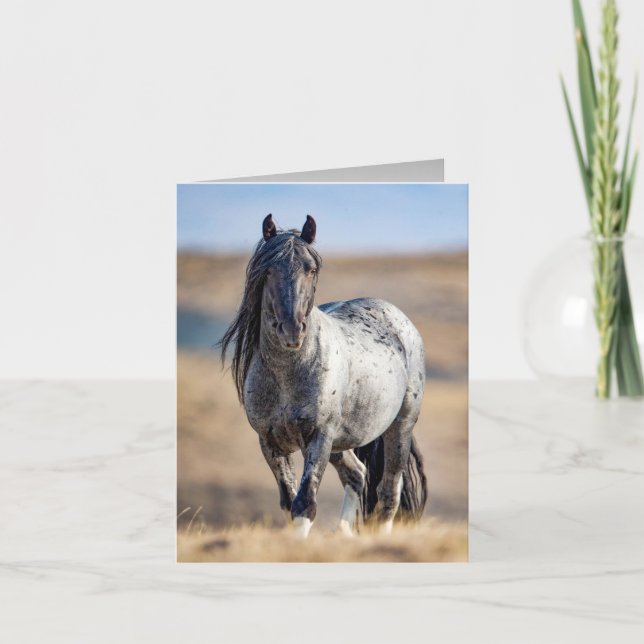 Wild Horse Bleu Zeus vient Fermer Carte de voeux (Devant)