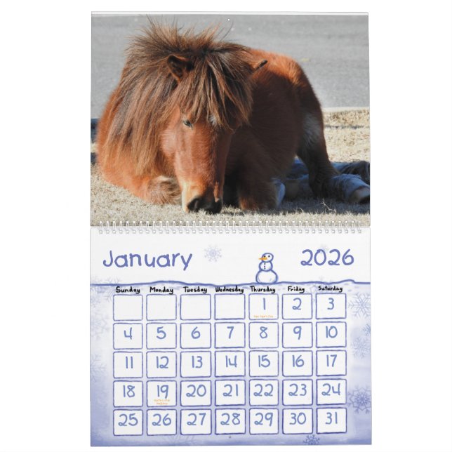 Wild Horse Calendar, Assateague Island Calendar (Jan 2026)