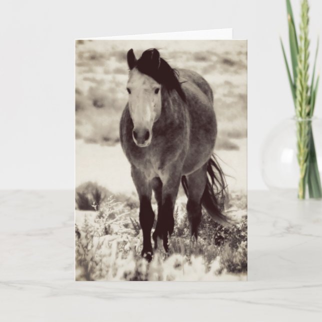WILD HORSE DE L'UTAH Carte de voeux pliée (Devant)