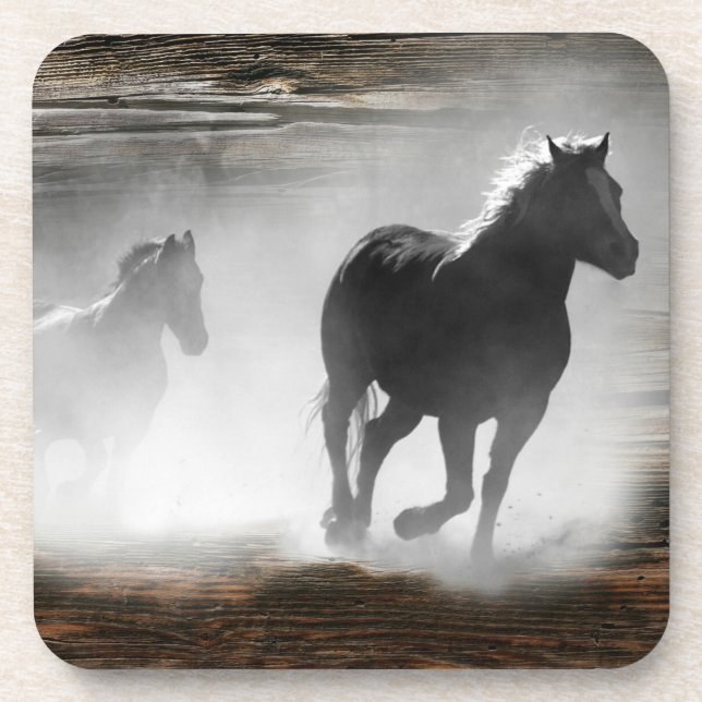 Wild Horse Galloping Coaster (Front)